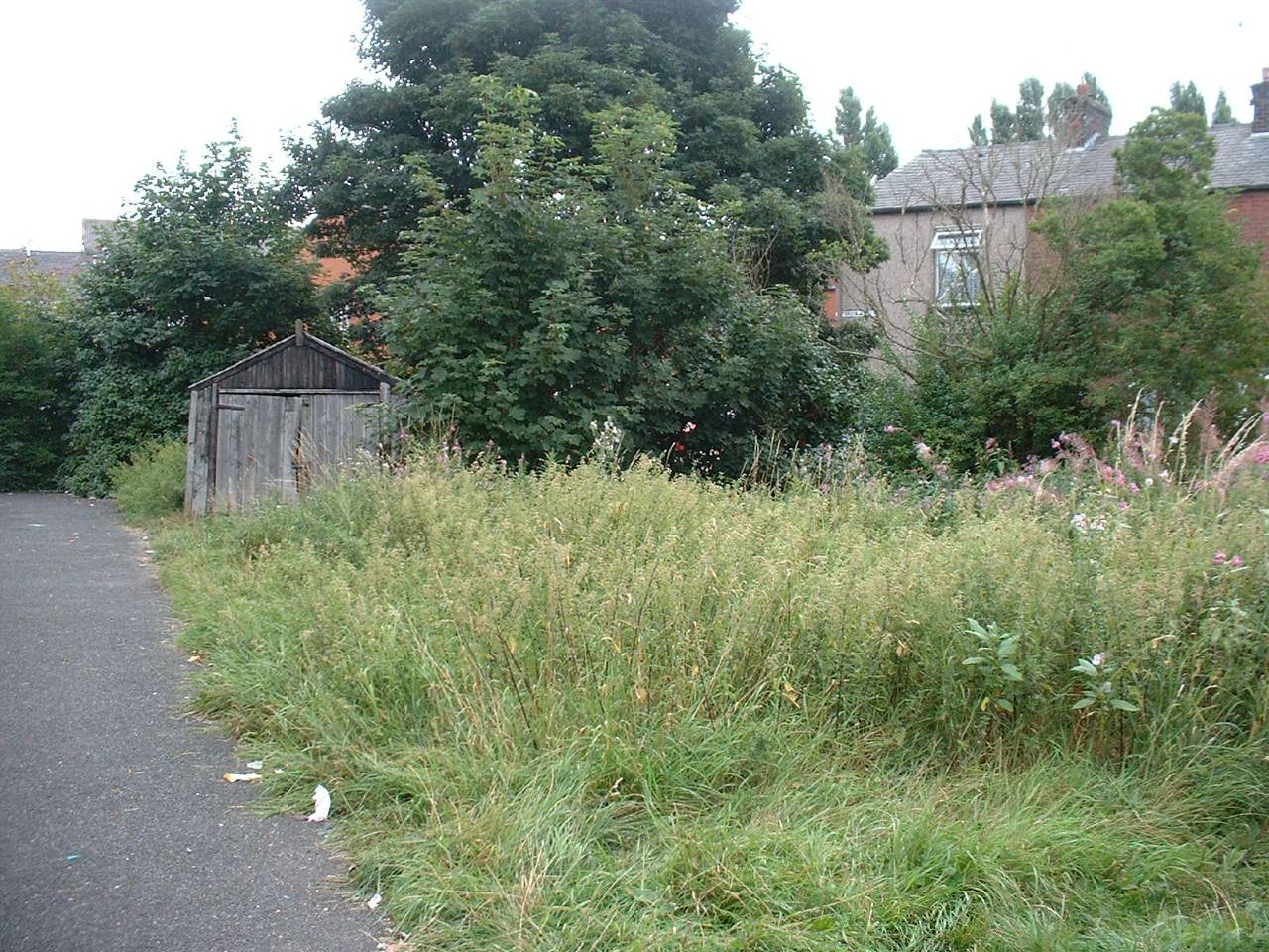 And cleared the surrounding area that was grown with weeds.